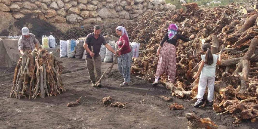 Ateş başında nöbet, toz içinde mesai! Toroslarda zorlu geçim kaynağı: Birçok ailenin ekmek kapısı oluyor 4